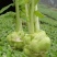 涪临一号榨菜种子高产抗病耐热耐寒农家菜园基地种植蔬菜