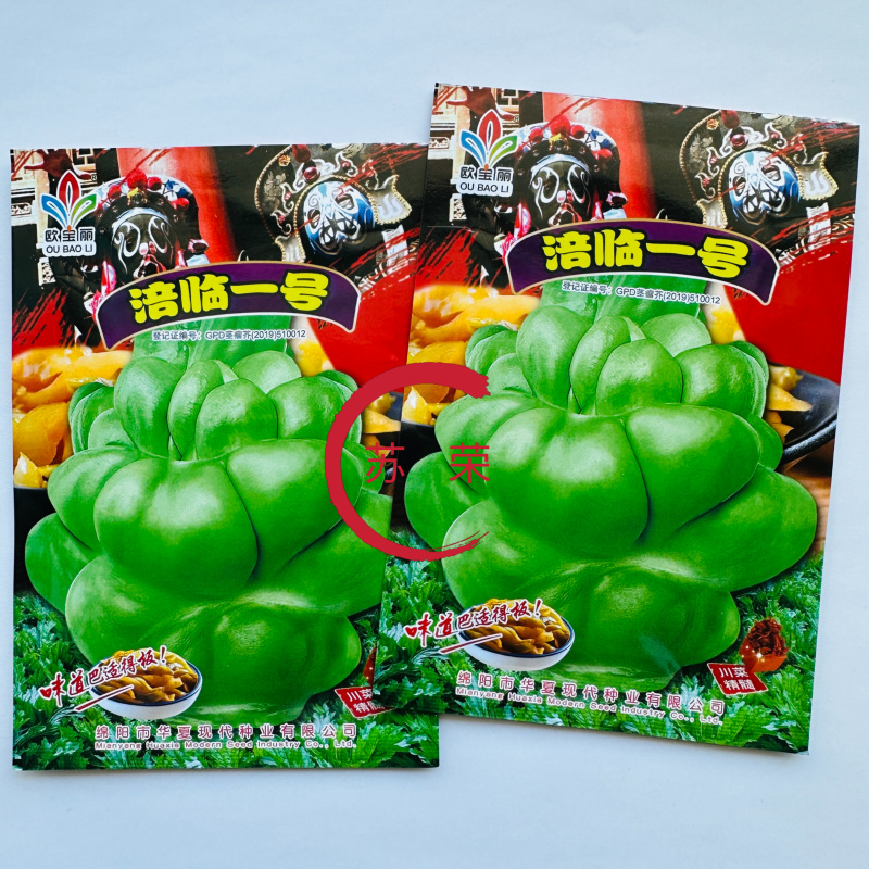 涪临一号榨菜种子高产抗病耐热耐寒农家菜园基地种植蔬菜