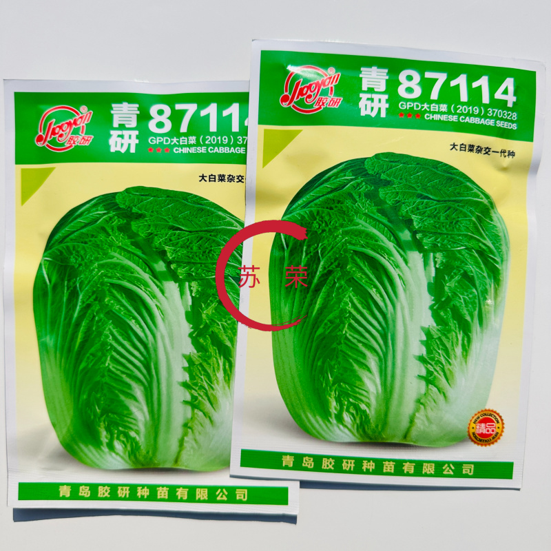 青研87114大白菜种子高产抗病秋季杂交包心大白菜