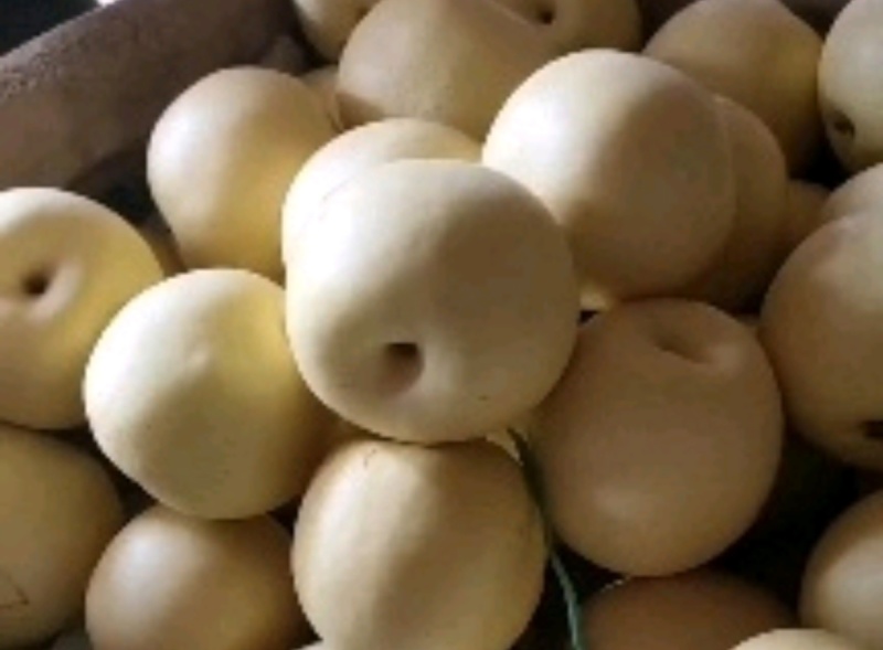 皇冠梨开园了，地头鲜菜，价格便宜。