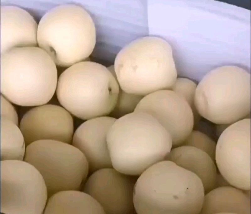 皇冠梨开园了，地头鲜菜，价格便宜。