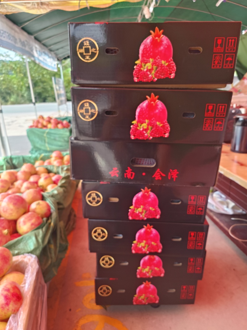 全国批发零售，一件包邮代发