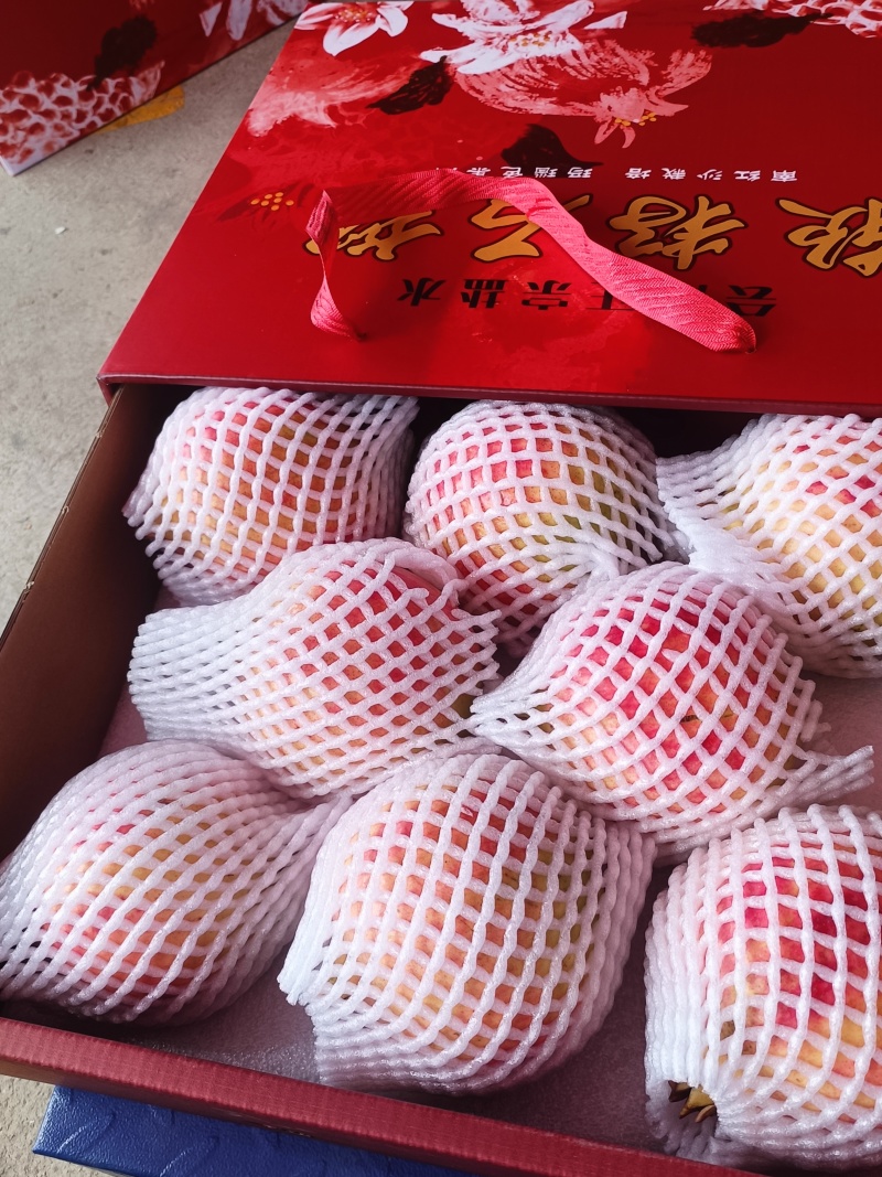 全国批发零售，一件包邮代发