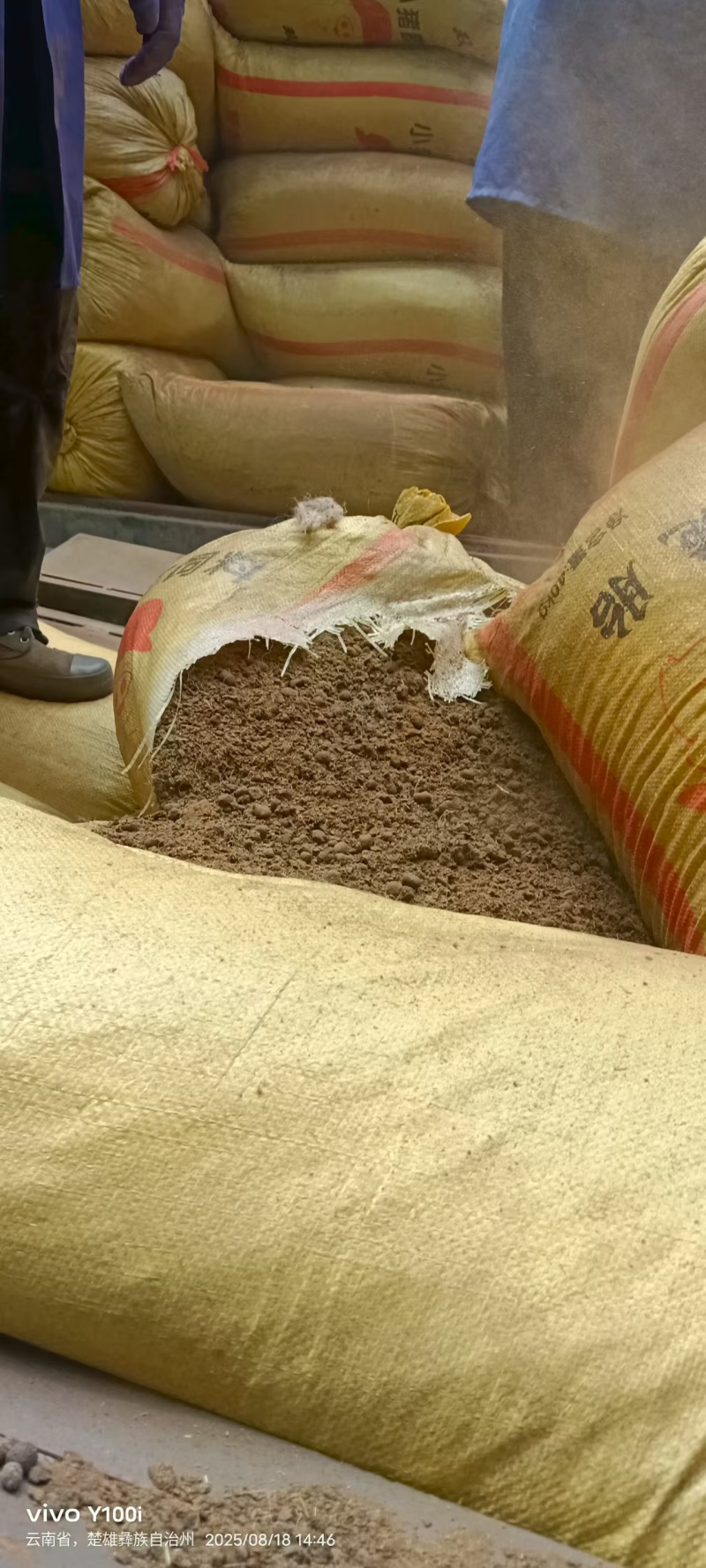 精品纯羊粪草原纯羊粪没有味道，水份在二十以下