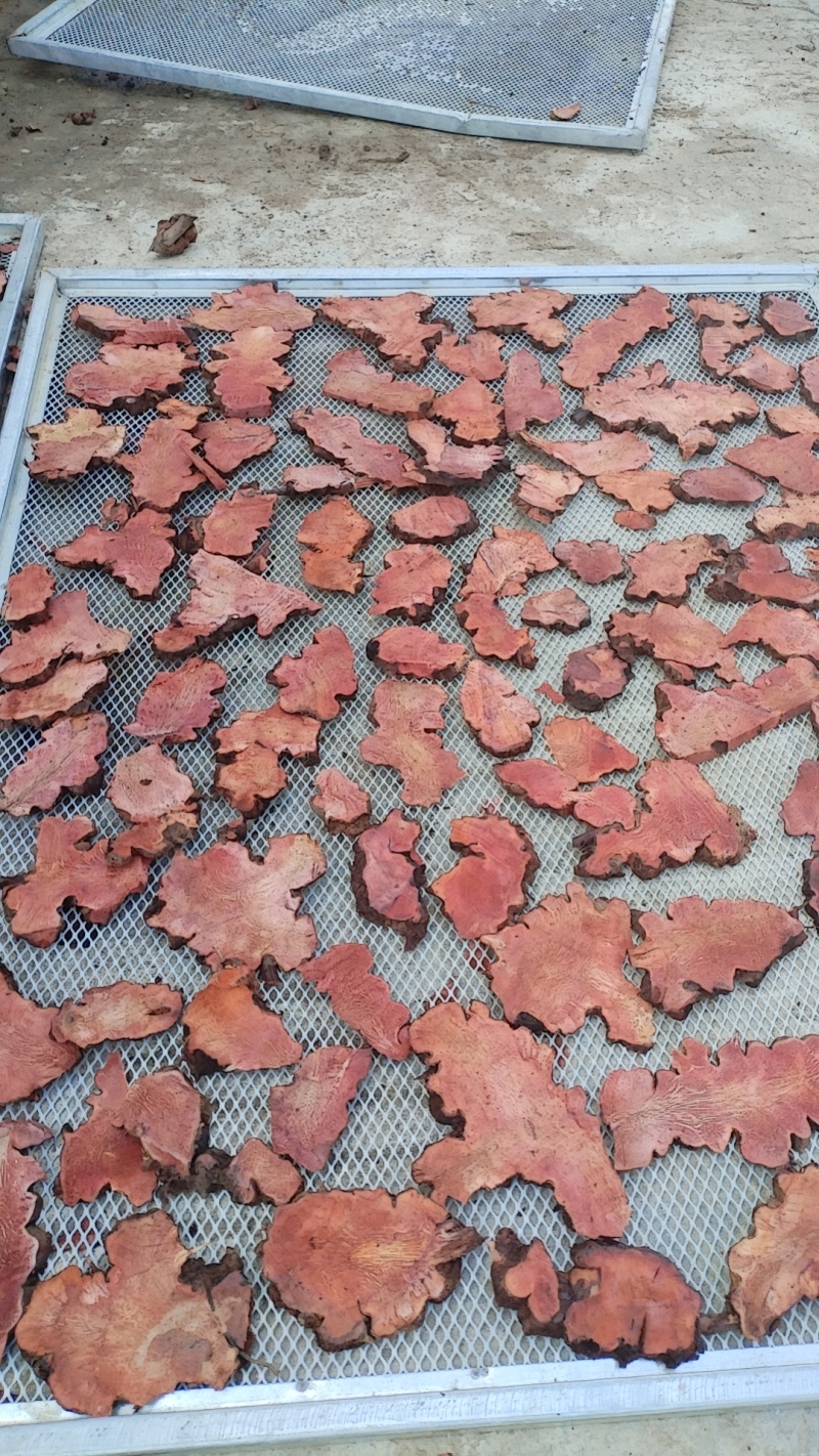 土茯苓红肉干片太阳自然晒干一手货源量大从优保证野生正品