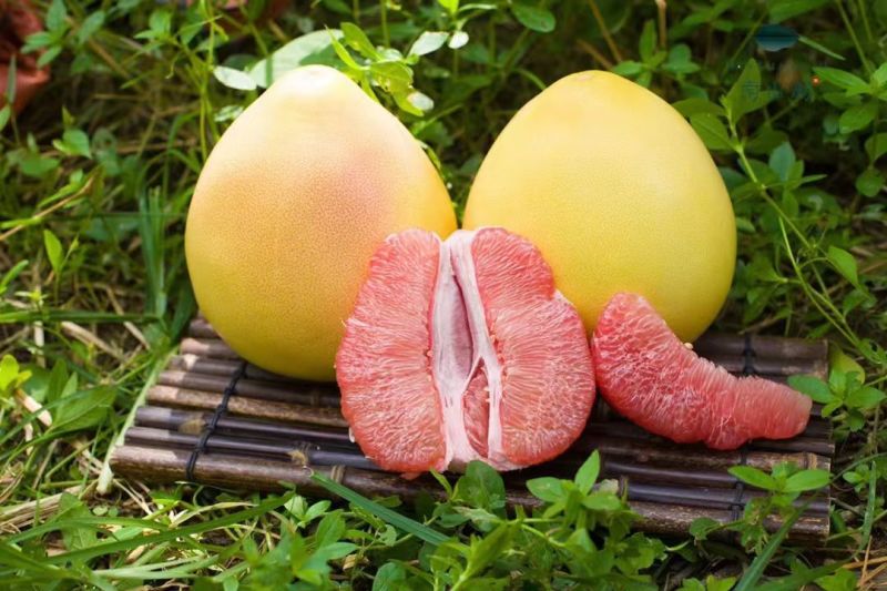 平和正宗琯溪蜜柚