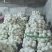 优质圆萝卜支持视频看货论价产地一手货源保质保量