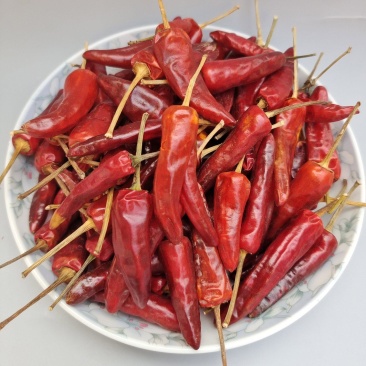 石柱红1号批发
