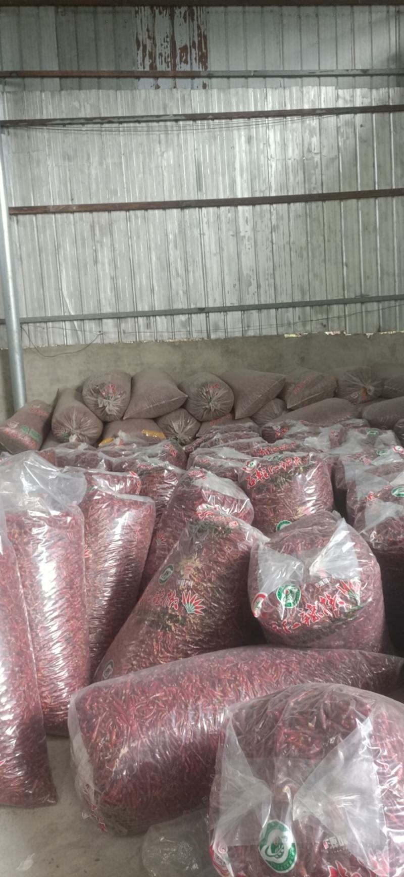 石柱红1号批发
