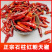 石柱红1号批发