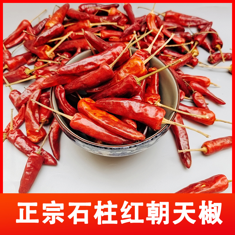 石柱红1号批发