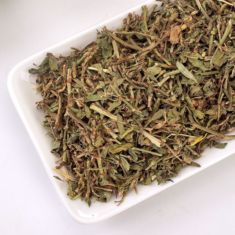 萹蓄中药材萹蓄草扁蓄草野生扁竹竹节草猪牙草蚂蚁草道生草中