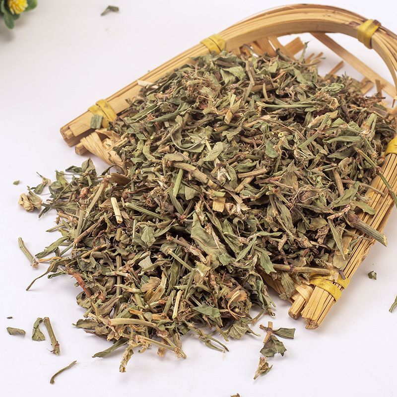 萹蓄中药材萹蓄草扁蓄草野生扁竹竹节草猪牙草蚂蚁草道生草中