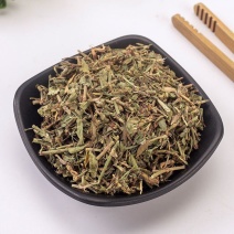 萹蓄中药材萹蓄草扁蓄草野生扁竹竹节草猪牙草蚂蚁草道生草中