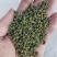 吴茱萸江西花新货