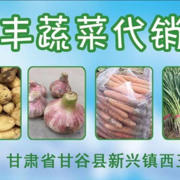 恒丰蔬菜之精品土豆***********