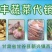 恒丰蔬菜之精品土豆***********