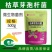 枯草芽孢杆菌400亿/克农微生物菌剂益生菌肥料有机肥果蔬