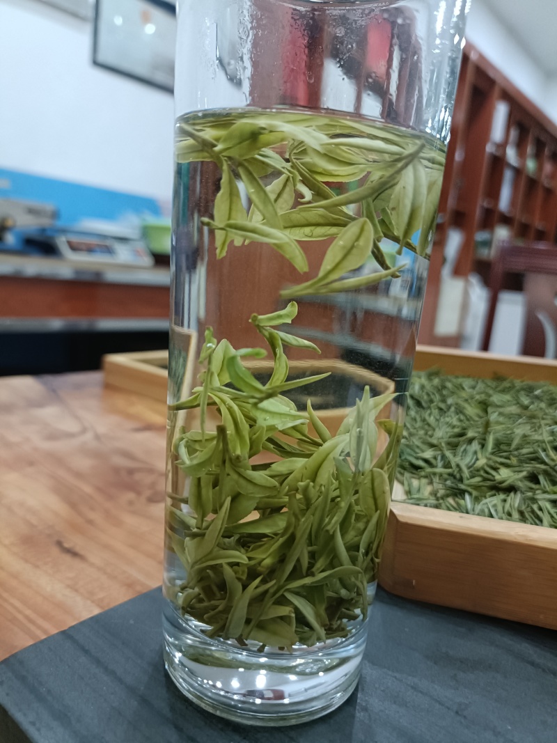 崊溪正安白茶
