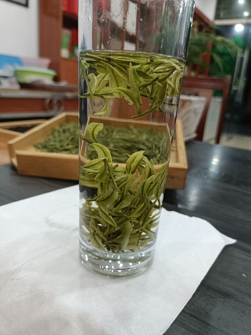 崊溪正安白茶