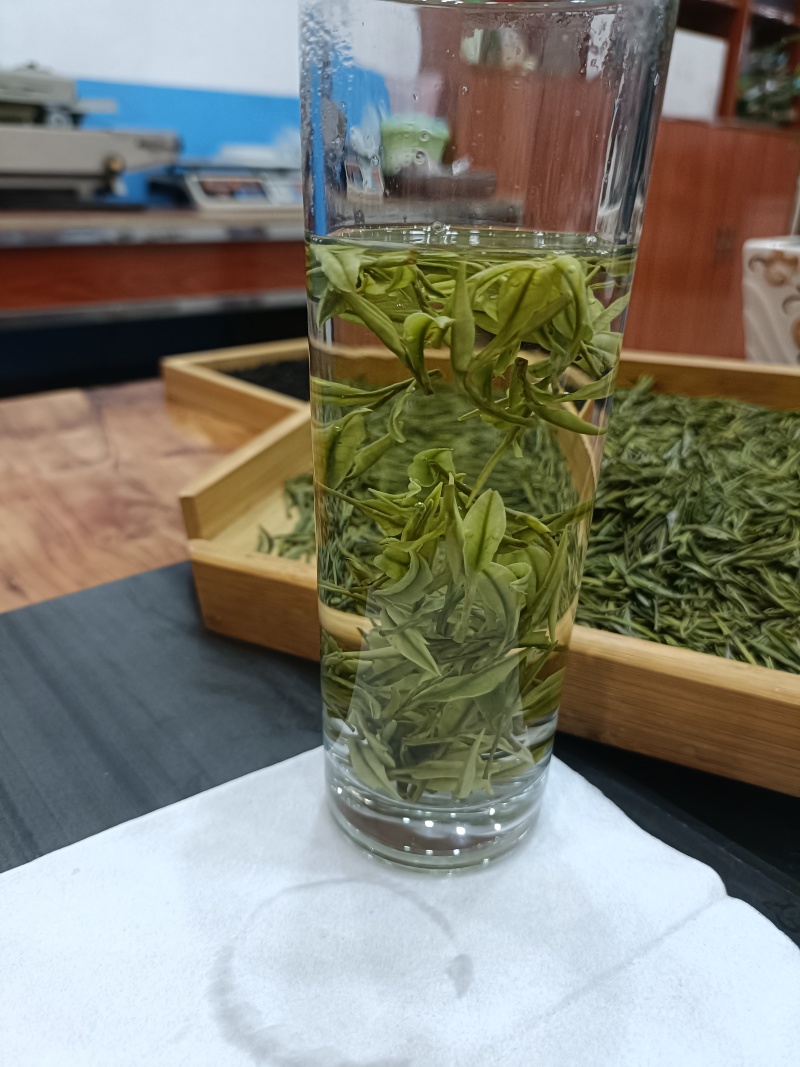 崊溪正安白茶