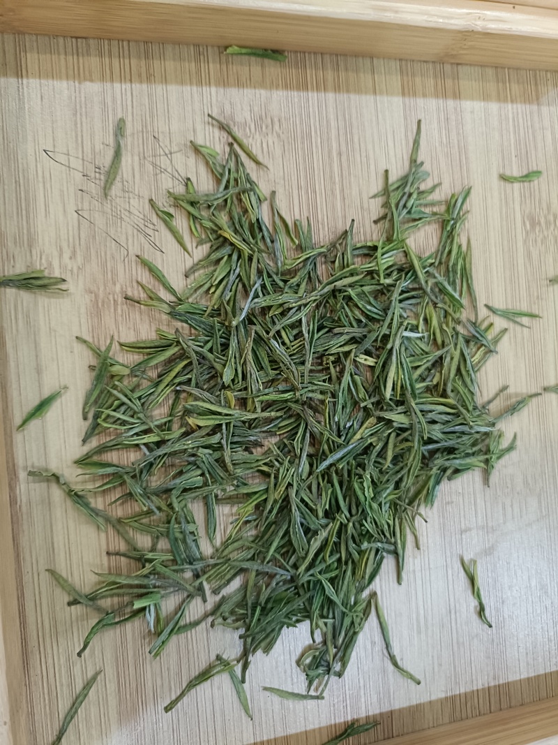 崊溪正安白茶