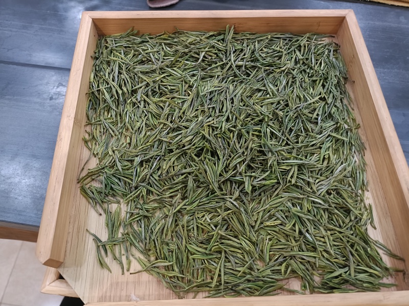 崊溪正安白茶