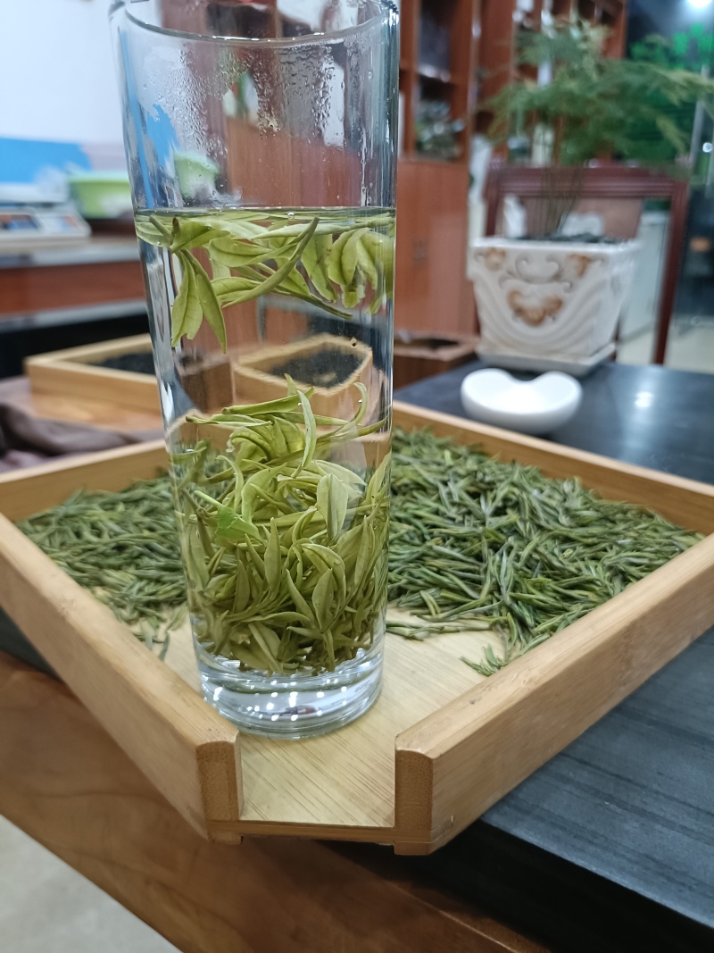 崊溪正安白茶