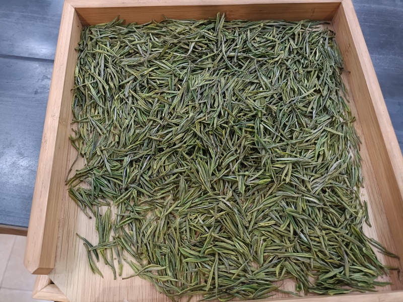 崊溪正安白茶