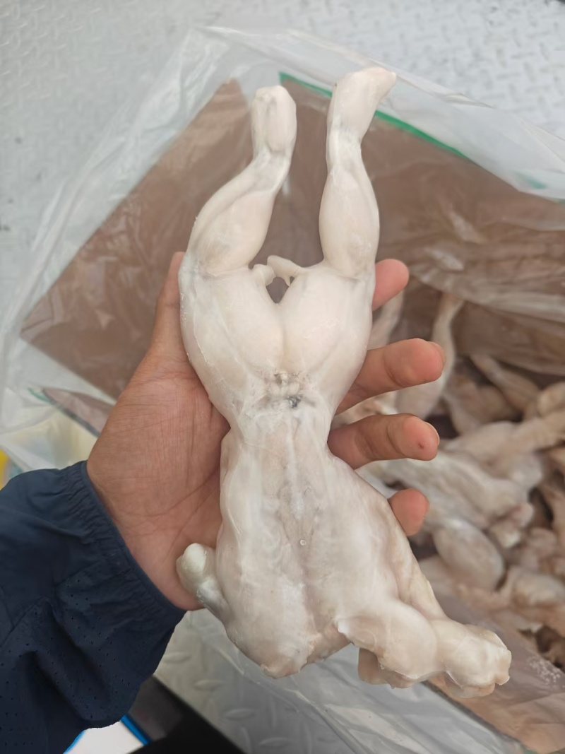 牛蛙