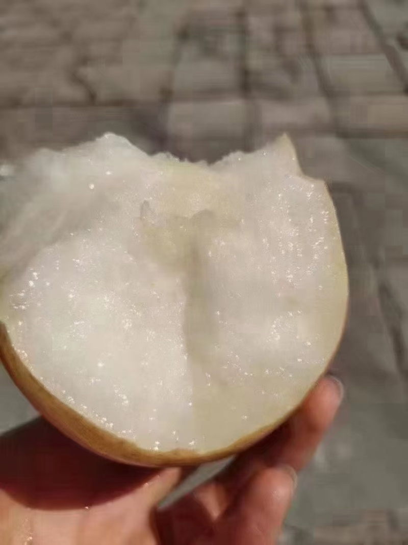 秋月梨