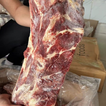 牛肩胛骨