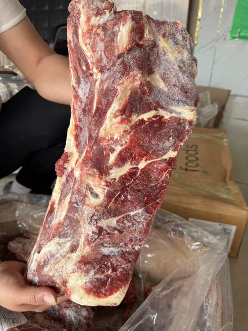 牛肩胛骨