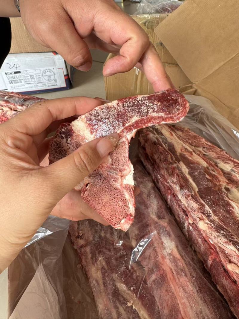 牛肩胛骨