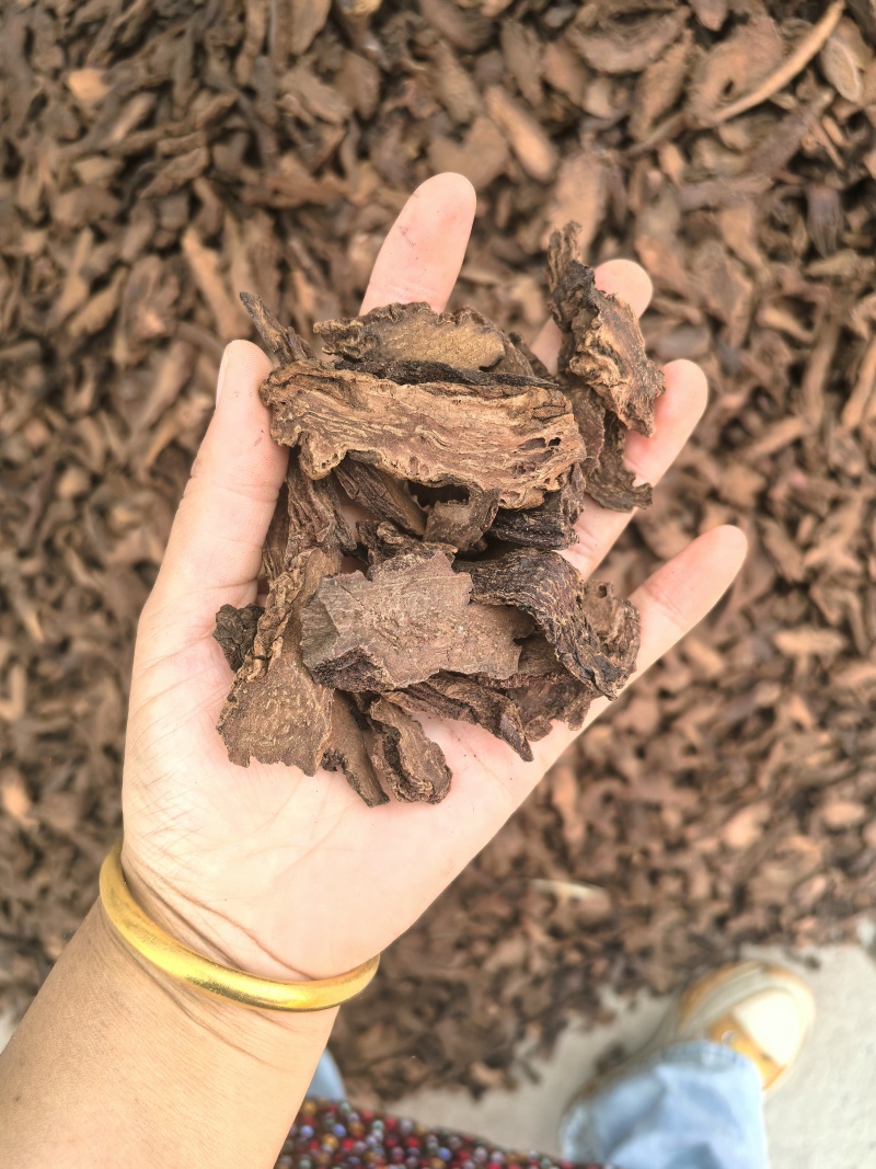 锁阳片电商转用颜色好看今年新货可以带打粉