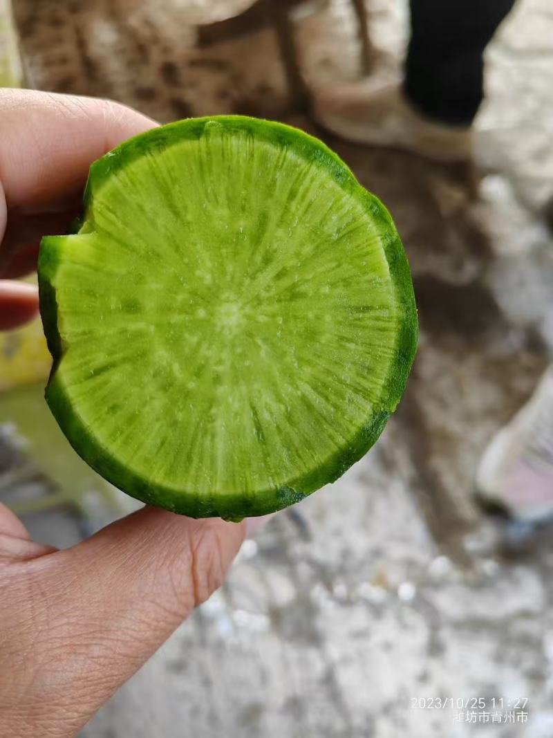 水果萝卜产地直供对接批发市场采购商超电商等