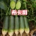 天星02水果萝卜潍坊产地直供对接批发市场采购商超电商等