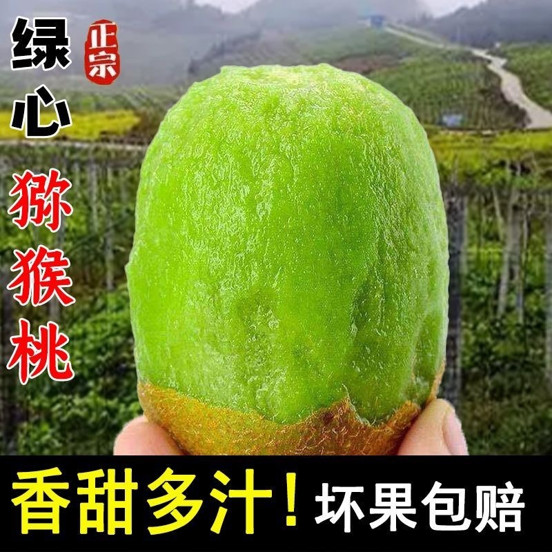 山东高山徐香猕猴桃