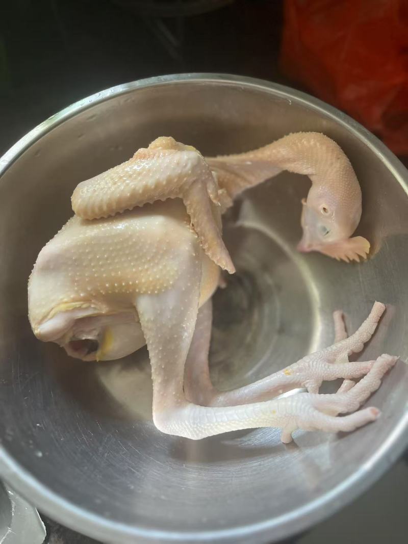 鸡鲜人专卖优质鸡