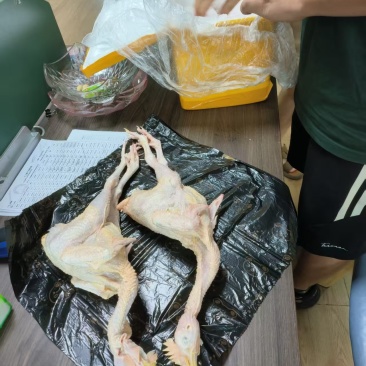 鸡鲜人专卖优质鸡