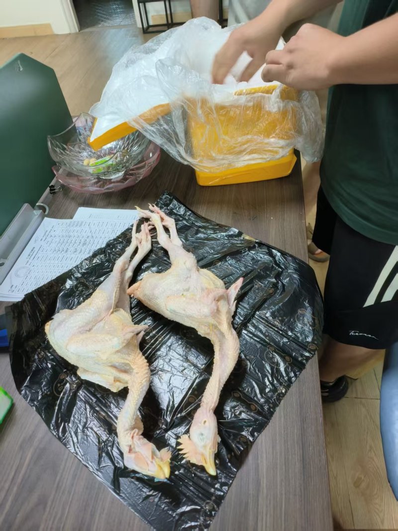 鸡鲜人专卖优质鸡