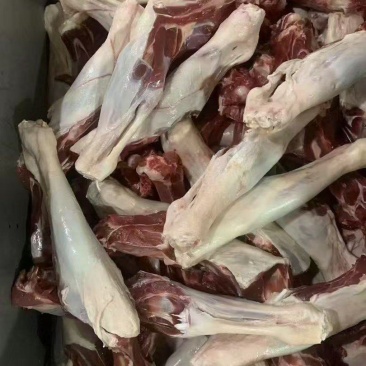羊双节骨