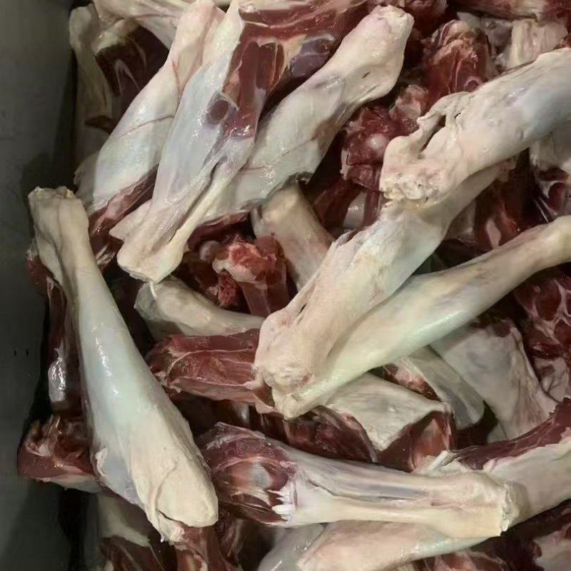 羊双节骨