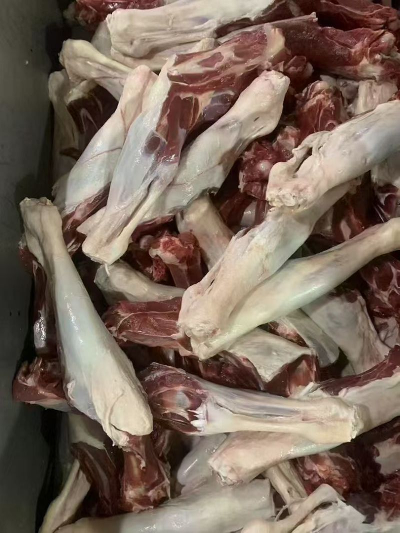 羊双节骨