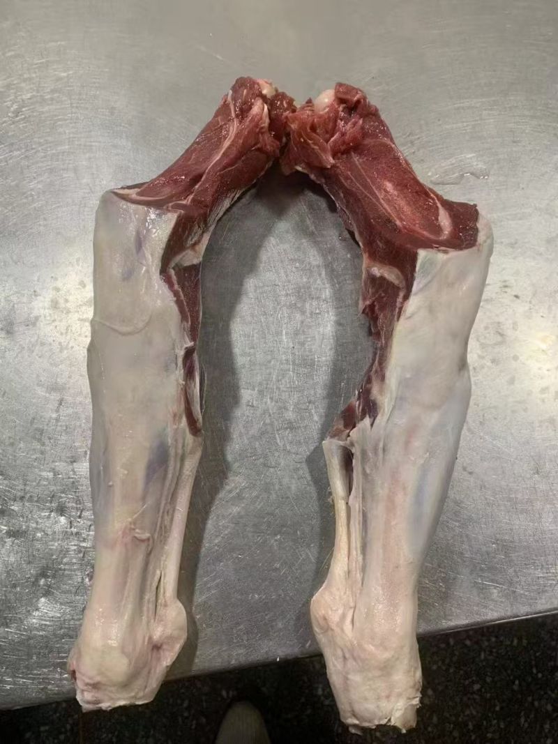 羊双节骨