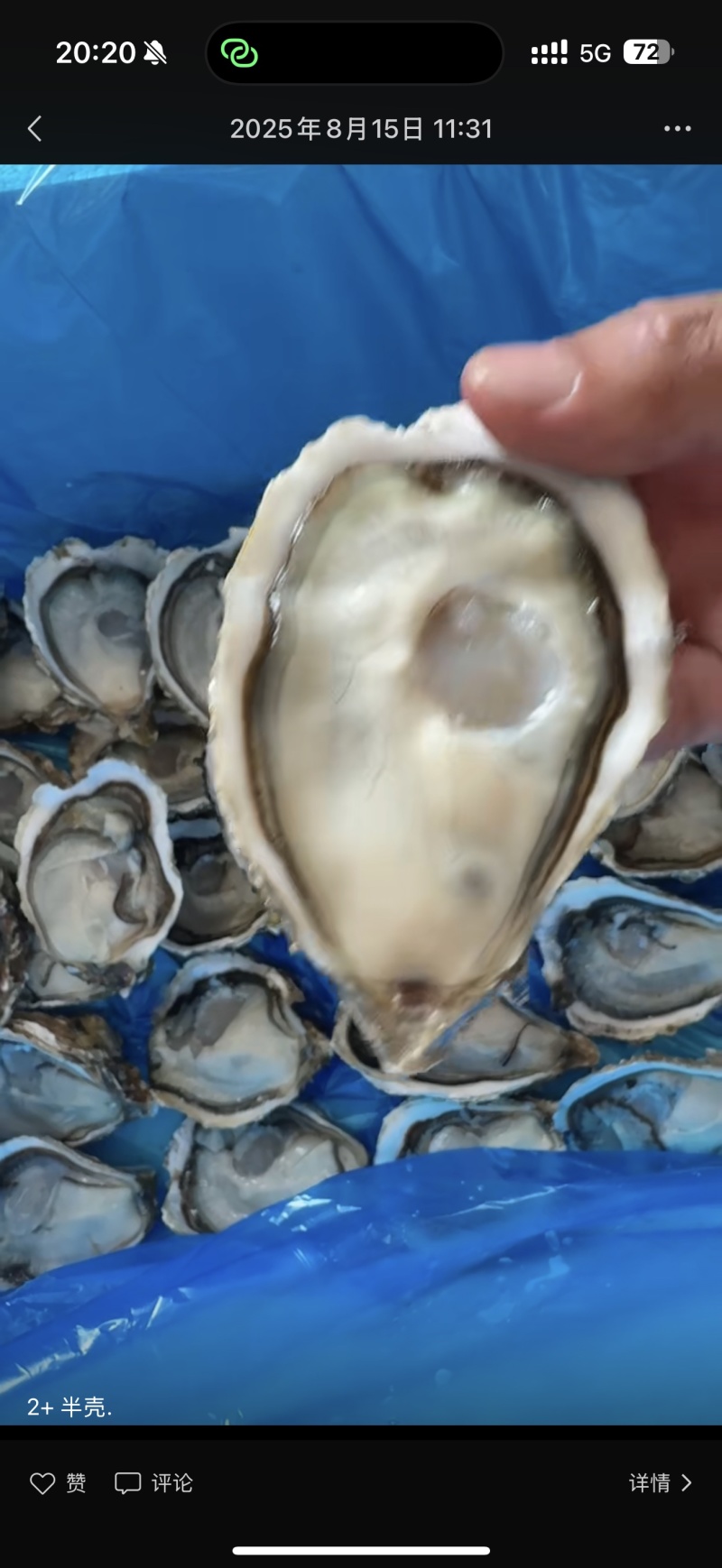 精品鲜活生蚝薄壳大生蚝可开半壳鲜活批发量大物美