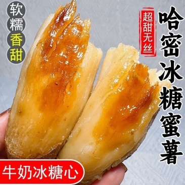 山东红薯哈密冰糖薯新鲜现挖，超甜白心地瓜