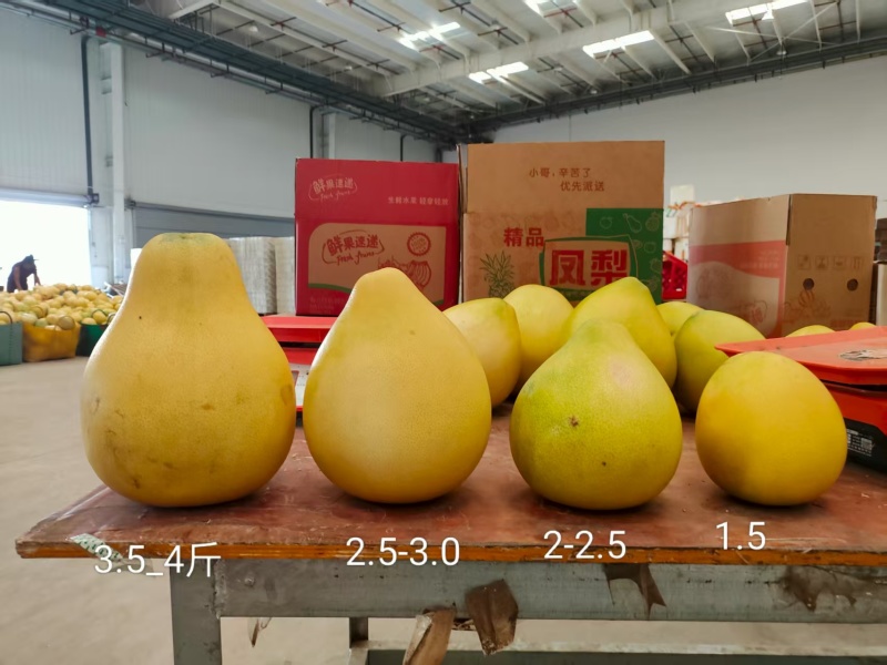 电商一件代发，市场走货。机制拉满。