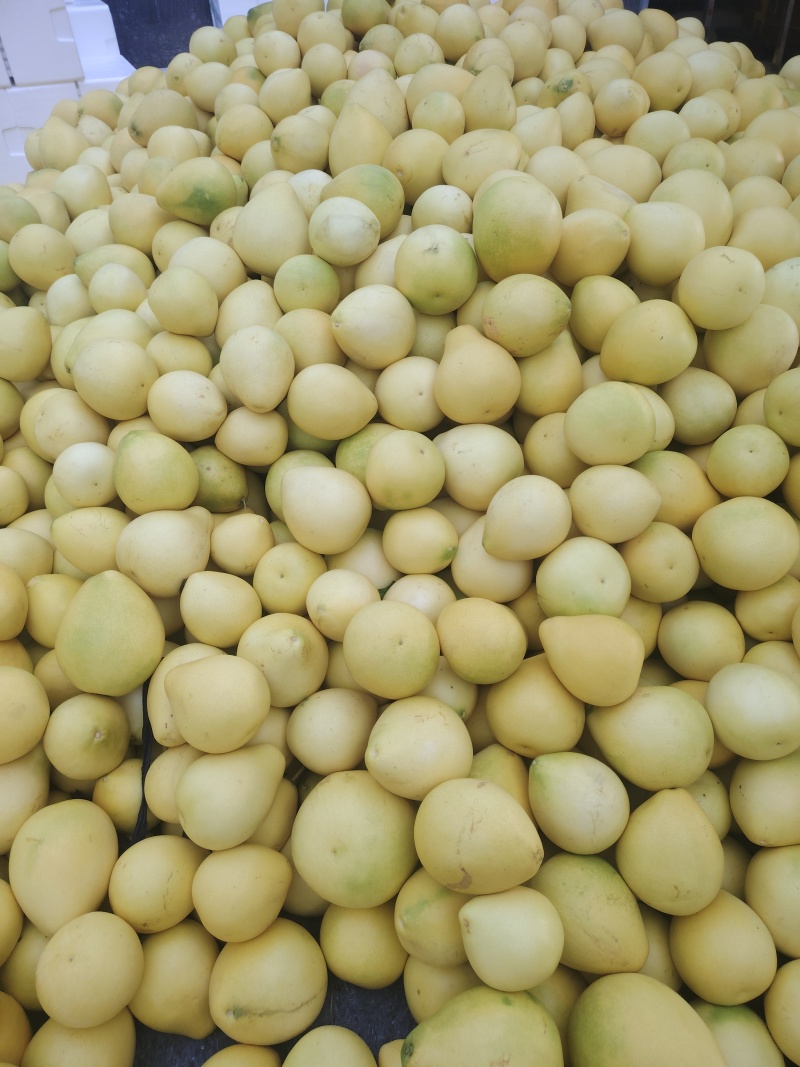 电商一件代发，市场走货。机制拉满。