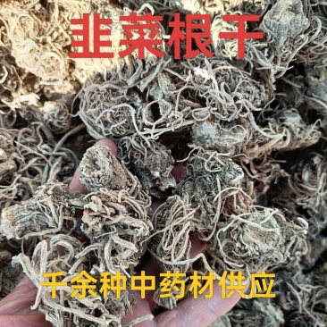 中药材韭菜根干货，水洗干净无杂自然晒干质量保证欢迎咨询购